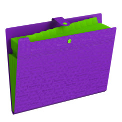 Папка-конверт Berlingo Your Way на кнопке - 12 отделений - А4