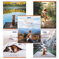 Тетрадь Brauberg Best Friends - А5 - 48 листов - Клетка