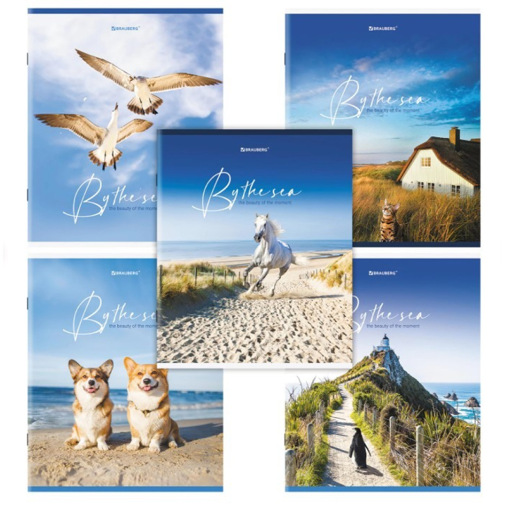 Тетрадь Brauberg By the Sea - А5 - 80л - Клетка Тетрадь Brauberg By the Sea - А5 - 80л - Клетка