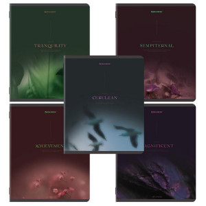 Тетрадь Brauberg Peaceful - А5 - 48 листов - Клетка