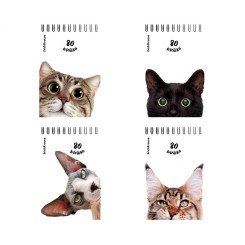 Блокнот ErichKrause Котики - А6 - На спирали - 80 листов