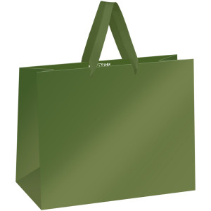 Пакет подарочный Meshu Green - 32*26*12 см