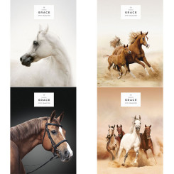 Тетрадь Школярик - А5 - 80 листов - Уф-лак - Рисунок 5061 Тетрадь Школярик - А5 - 80 листов - Уф-лак - Рисунок 5061