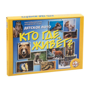 Игра настольная Лото, Десятое королевство - Кто где живет - Большое