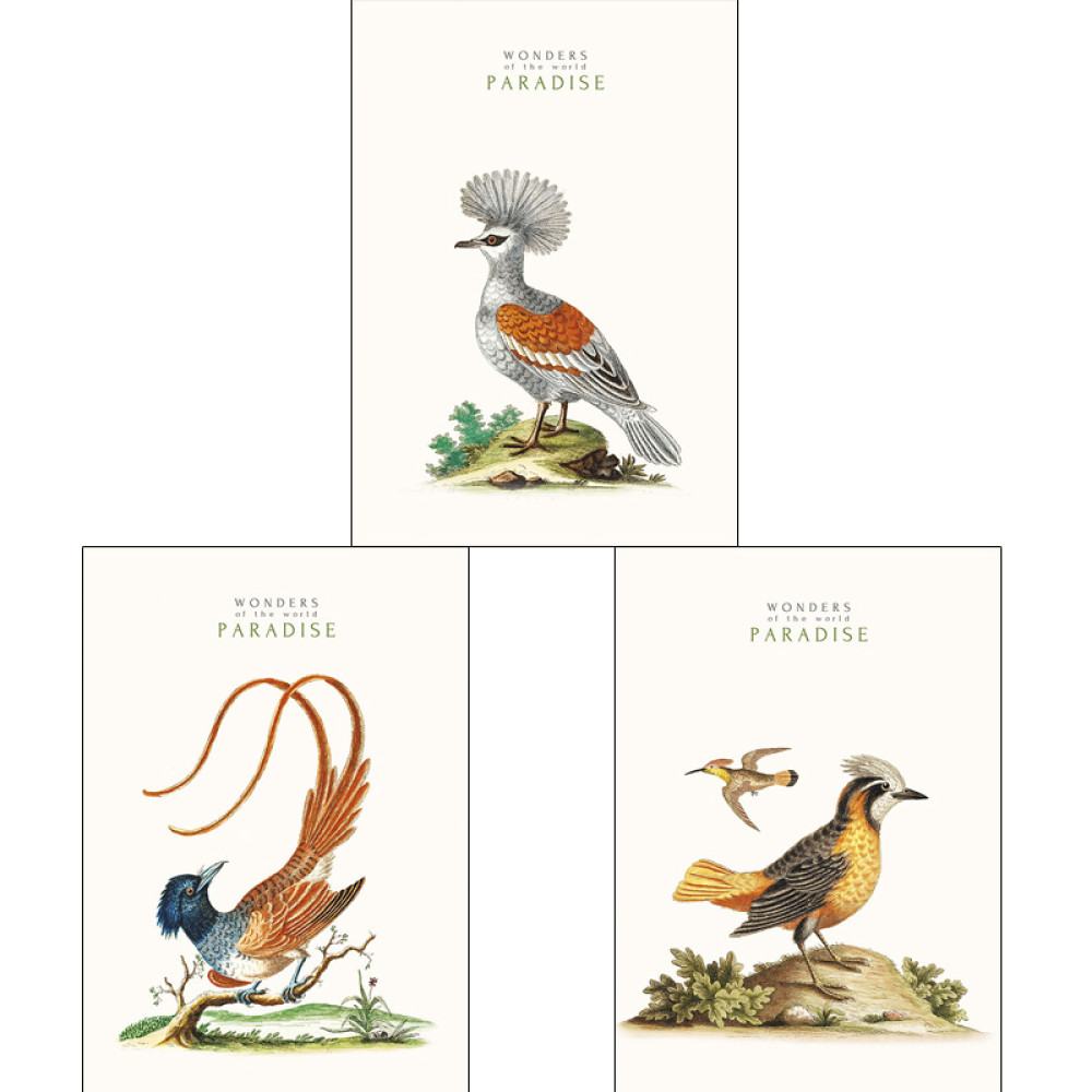 Тетрадь Школярик Student рис 545 - А4 - 80 листов - Матовая ламинация Тетрадь Школярик Student рис 545 - А4 - 80 листов - Матовая ламинация