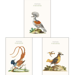 Тетрадь Школярик Student рис 545 - А4 - 80 листов - Матовая ламинация Тетрадь Школярик Student рис 545 - А4 - 80 листов - Матовая ламинация