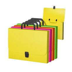 Портфель - папка Erich Krause Glance Vivid - А4 - Пластик - Ассорти Портфель - папка Erich Krause Glance Vivid - А4 - Пластик - Ассорти