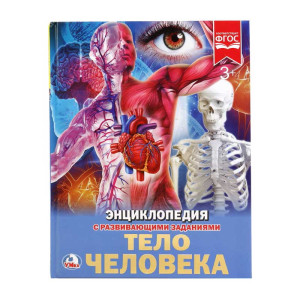 Энциклопедия Умка Тело человека - А4 - 48 страниц