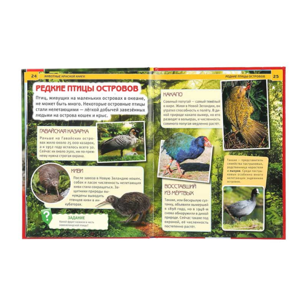 Энциклопедия Умка Животные красной книги - А4 - 48 страниц Энциклопедия Умка Животные красной книги - А4 - 48 страниц