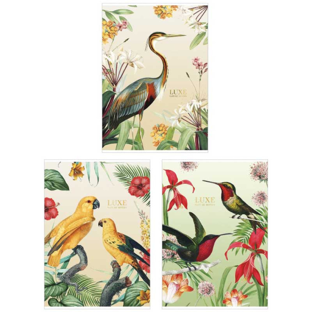 Тетрадь Школярик Student - А4 - 80 листов - Клетка - Рисунок 548 Тетрадь Школярик Student - А4 - 80 листов - Клетка - Рисунок 548