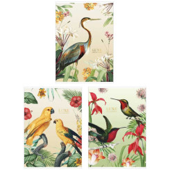 Тетрадь Школярик Student - А4 - 80 листов - Клетка - Рисунок 548 Тетрадь Школярик Student - А4 - 80 листов - Клетка - Рисунок 548