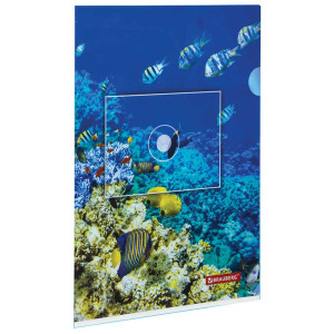 Папка-уголок Brauberg Sea World - А4 -150 мкм - Цветная