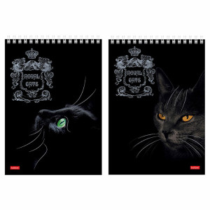 Блокнот Hatber Royal Cats - А5 - На спирали - 80 листов