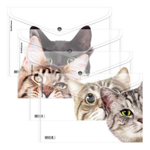 Папка-конверт Erich Krause Hiding Cats на кнопке - 160 мкм - А4