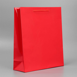 Пакет подарочный Red - 24*29*9 см