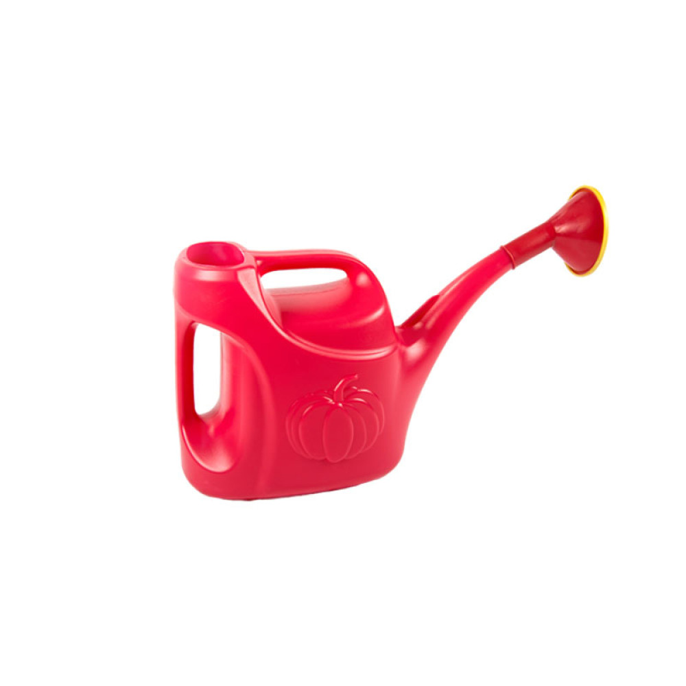 Лейка с рассеивателем Радиан - 10 л Лейка с рассеивателем Радиан - 10 л