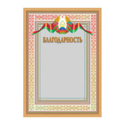 Благодарность с государственной символикой - А4