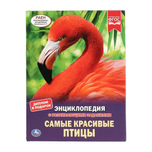 Энциклопедия Умка А4 Самые красивые птицы - А4 - 48 страниц