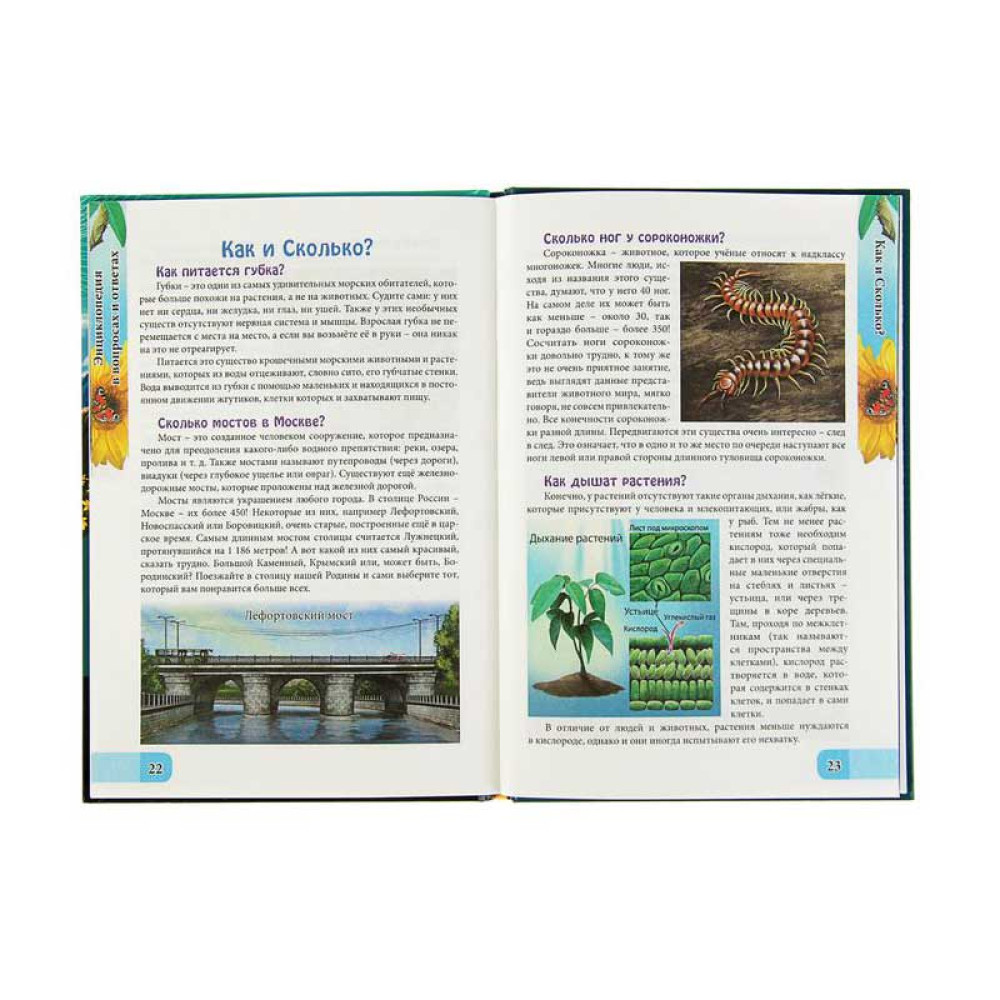 Энциклопедия в вопросах и ответах - 32 страницы Энциклопедия в вопросах и ответах - 32 страницы