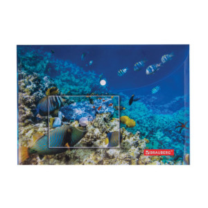 Папка-конверт на кнопке Brauberg Sea World - А4 - 160 мкм