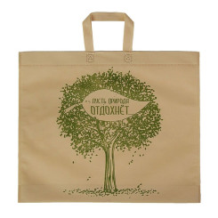 Пакет с петлевой ручкой Эко - 43*52*5 см - Бежевый Пакет с петлевой ручкой Эко - 43*52*5 см - Бежевый