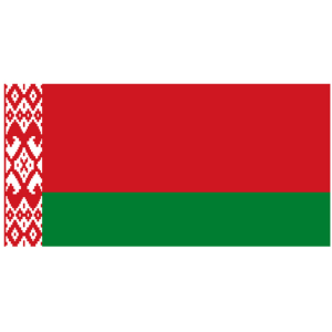 Флаг Рес­пуб­ли­ки Бе­ла­русь - 60*120 см - Ткань