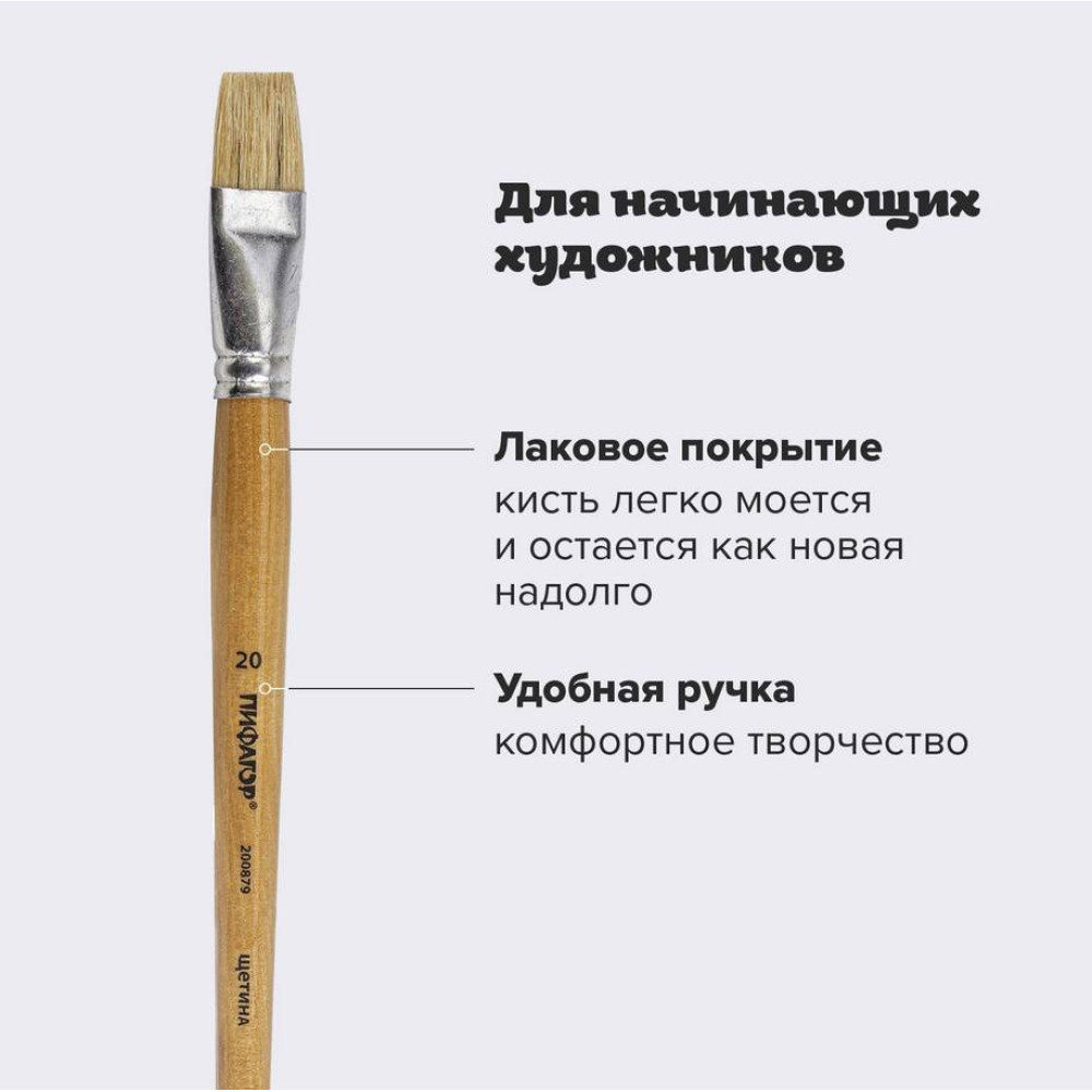 Кисть щетина Пифагор - №20 - Плоская Кисть щетина Пифагор - №20 - Плоская