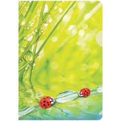 Папка-уголок Berlingo Ladybird - А4 - С рисунком