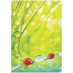 Папка-уголок Berlingo Ladybird - А4 - С рисунком