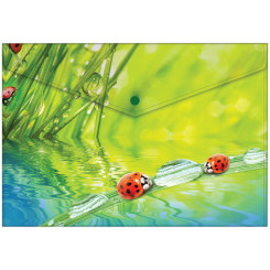Папка-конверт Ladybird - А4 - пластиковая - на кнопке