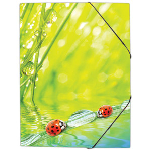Папка пластиковая Ladybird на резинке - 55 мкр