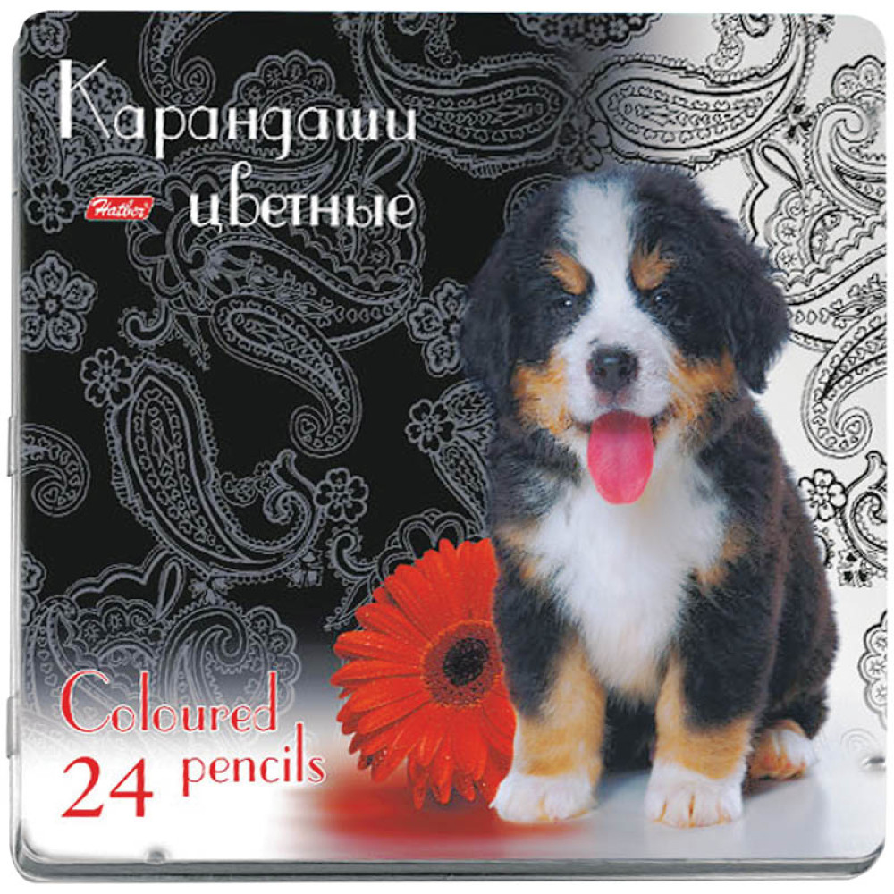 Набор цветных карандашей Hatber - 24 цвета - Заточенные Набор цветных карандашей Hatber - 24 цвета - Заточенные