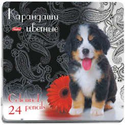 Набор цветных карандашей Hatber - 24 цвета - Заточенные Набор цветных карандашей Hatber - 24 цвета - Заточенные