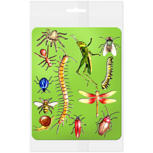 Трафарет - раскраска Насекомые